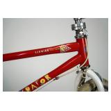 1988 Schwinn Predator Free Form TC