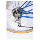 1977 Fuji Special Road Racer Mixte