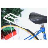 1977 Fuji Special Road Racer Mixte