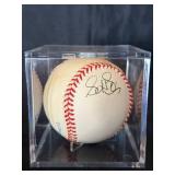 Minnesota Twins Scott Leius #31 Autographed Baseball
