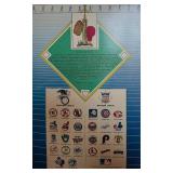 MN Twins Authentic Miniatures Baseball Display Set by SharCo