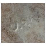 Vintage Robinson Ransbottom Blue Crown No.2 Bean Pot and Beehive Brown Glazed Stoneware Jug