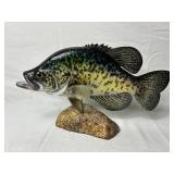 Collection of Prized Fish Mounts