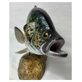 Collection of Prized Fish Mounts