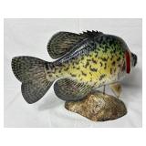 Collection of Prized Fish Mounts