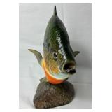 Collection of Prized Fish Mounts