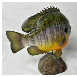 Collection of Prized Fish Mounts