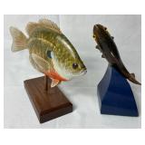 Collection of Prized Fish Mounts
