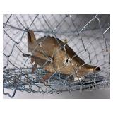 Vintage Collectors Ice Fishing Lot