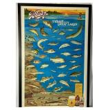 Novelty Fishing Collection - Miller High Life Bobber Cooler 16" High, Blatz Bear Fishes of the Great Lakes 37.25" x 25.25", Rapala Giant Lure 28.5" and The Judge Tournament Rule up to 22"