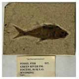 Fishing Accessories Package