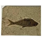 Fishing Accessories Package