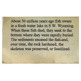 Fishing Accessories Package