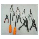 Needle nose Pliers, small pipe wrench, screwdrivers, channel lock pliers