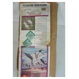 North Wind Decoys. Snow Geese