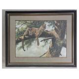 Rocky Mountain Lion (Framed)