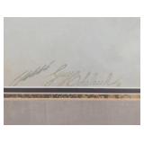 Rocky Mountain Lion (Framed)