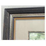 Rocky Mountain Lion (Framed)