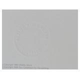 Timber Wolf (Print only)