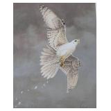 White Gyrfalcon (Print only)