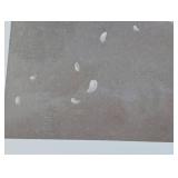 White Gyrfalcon (Print only)