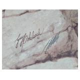 Golden Eagle (Print only)