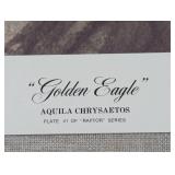 Golden Eagle (Print only)