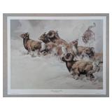 Rocky Mountain Chase (Print only)