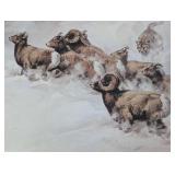 Rocky Mountain Chase (Print only)