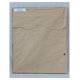 Lioness Head (Framed)