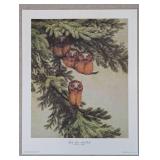 Baby Saw-whet Owls (Print only)