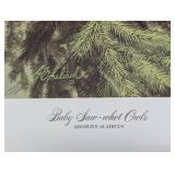 Baby Saw-whet Owls (Print only)