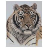 Siberian Tiger Head (Framed)