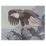 Bicentennial Eagle (Framed)