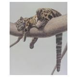 Clouded Siesta (Framed)