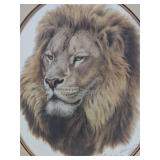 Lion Head (Framed)