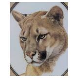 Western Puma Head (Framed)