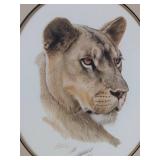 Lioness Head (Framed)
