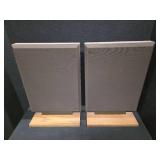 RARE VINTAGE Bertagni Electroacoustic Systems (BES) SPEAKERS! SM100 Models, circa 1982