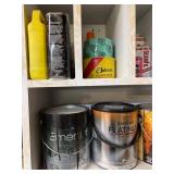 Paints, Finishes, and Woodworking Supplies