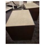 A pair of 2 Drawer Modern Nightstands.
