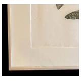 LR - "Good Ice Fishing" Limited Edition Stone Cut Print by Inuit Artist Malaya Akulukjuk