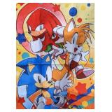 Sonic Mania 39" x 60" Area Rug - Brand New