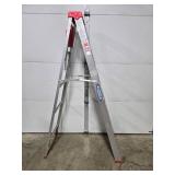 Werner 6 ft Aluminum Step Ladder Type III Model 356