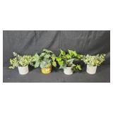 Home Decor Collection with Framed Porch Print, Faux Plants, Candle, and Figurines