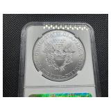 2015 1 Oz. Silver American Eagle NGC MS70 First Releases - Perfect Grade!