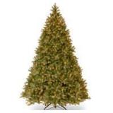 10 ft. Pre-Lit Douglas Fir Tree with Warm White LED Lights