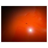 (6) Retail Display components for a shoe display, Wall panels 3