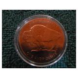 7 Copper Collectible Coins