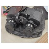 Panoramic III Binoculars with Carry Bag